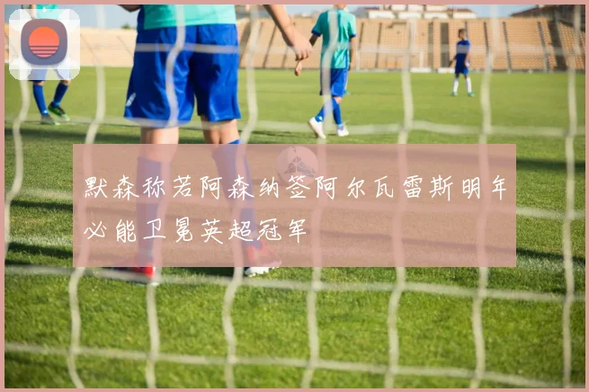 默森称若阿森纳签阿尔瓦雷斯明年必能卫冕英超冠军
