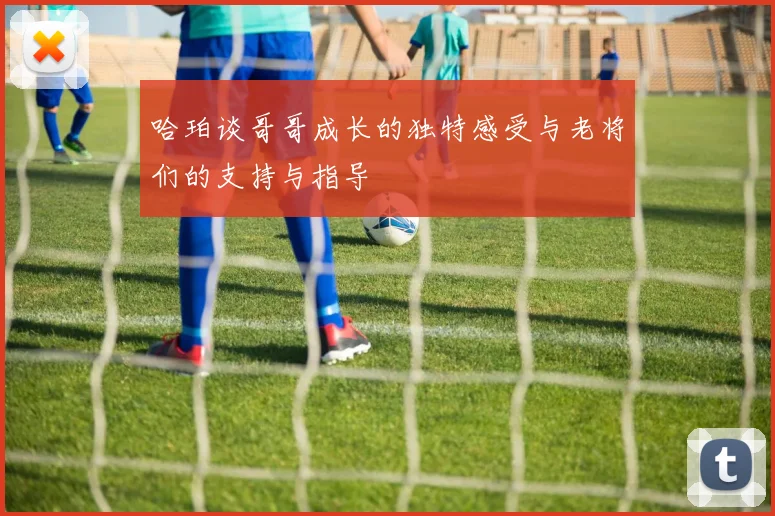 哈珀谈哥哥成长的独特感受与老将们的支持与指导